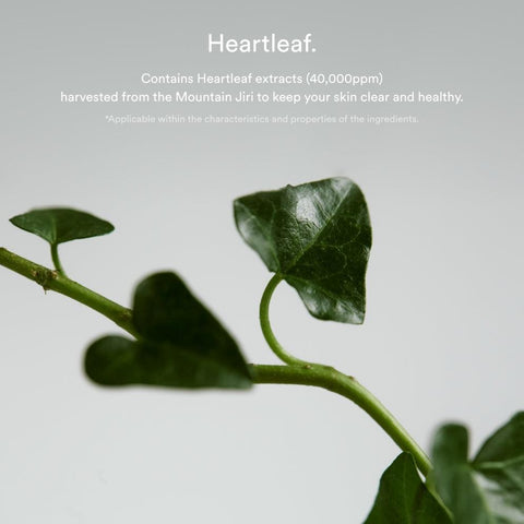 Abib HEARTLEAF SPOT PAD CALMING TOUCH (80 pads) - Kpopfuture