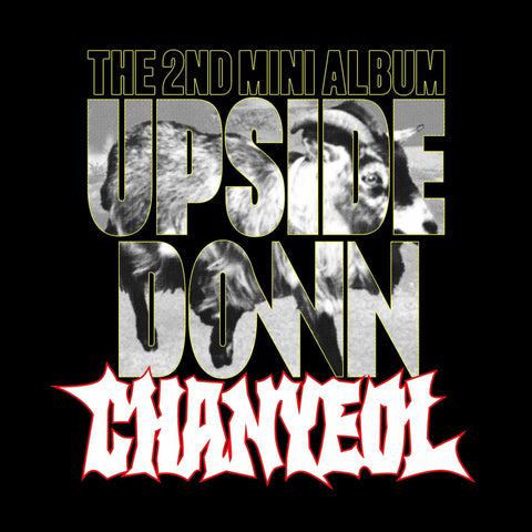 CHANYEOL (EXO) - UPSIDE DOWN (PHOTO BOOK VER.)+Applemusic Photocard