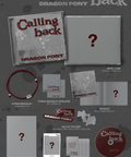 DRAGON PONY - CALLING BACK