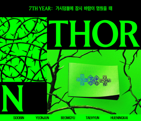 TXT - 7TH YEAR: WHEN THE WIND PAUSED AMONG THE THORNS (THORN VER.)+Applemusic POB