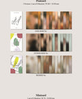 SEVENTEEN - 8th Mini Album [Your Choice] (Random Ver.) - Kpopfuture