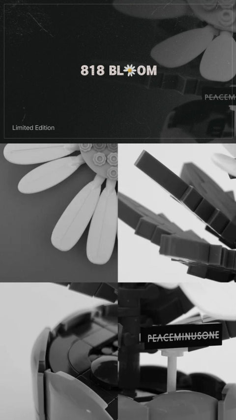 G-DRAGON (BIGBANG) - 'PEACEMINUSONE X OXFORD' 818 BLOOM (LIMITED EDITION)