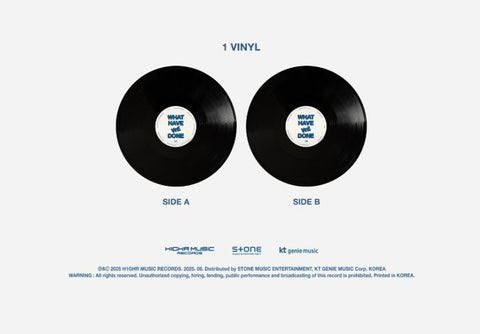 PH-1 - WHAT HAVE WE DONE (LP)