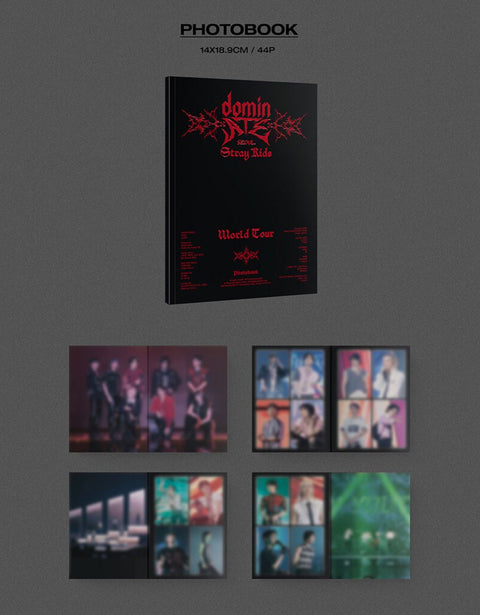 STRAY KIDS - WORLD TOUR 'DOMINATE SEOUL' (DVD & BLU-RAY)