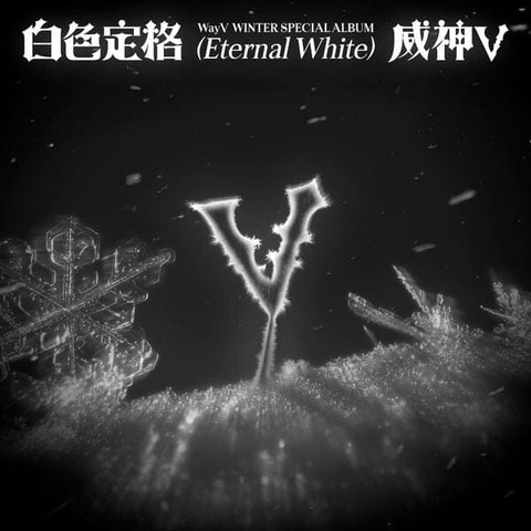 WayV - Winter Special Album [白色定格 (Eternal White)] (Photo Book Ver.) +APPLE MUSIC PHOTOCARD